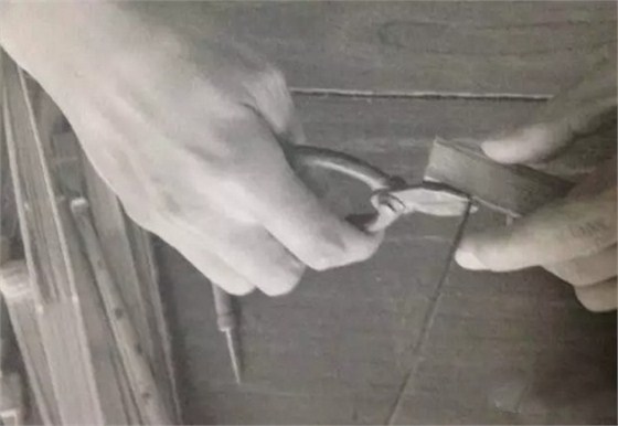 31