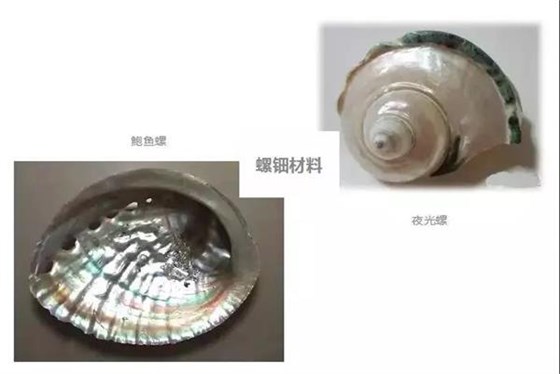蘇扇